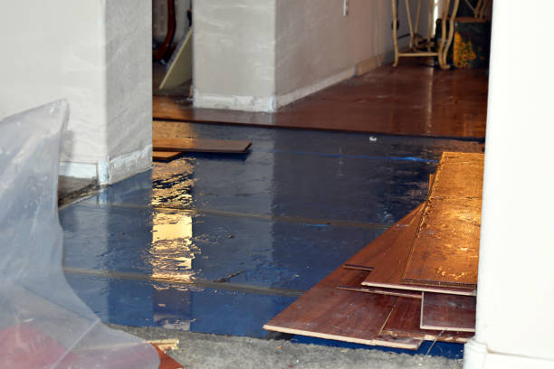 Professional Water Extraction technician working in Leamington, UT